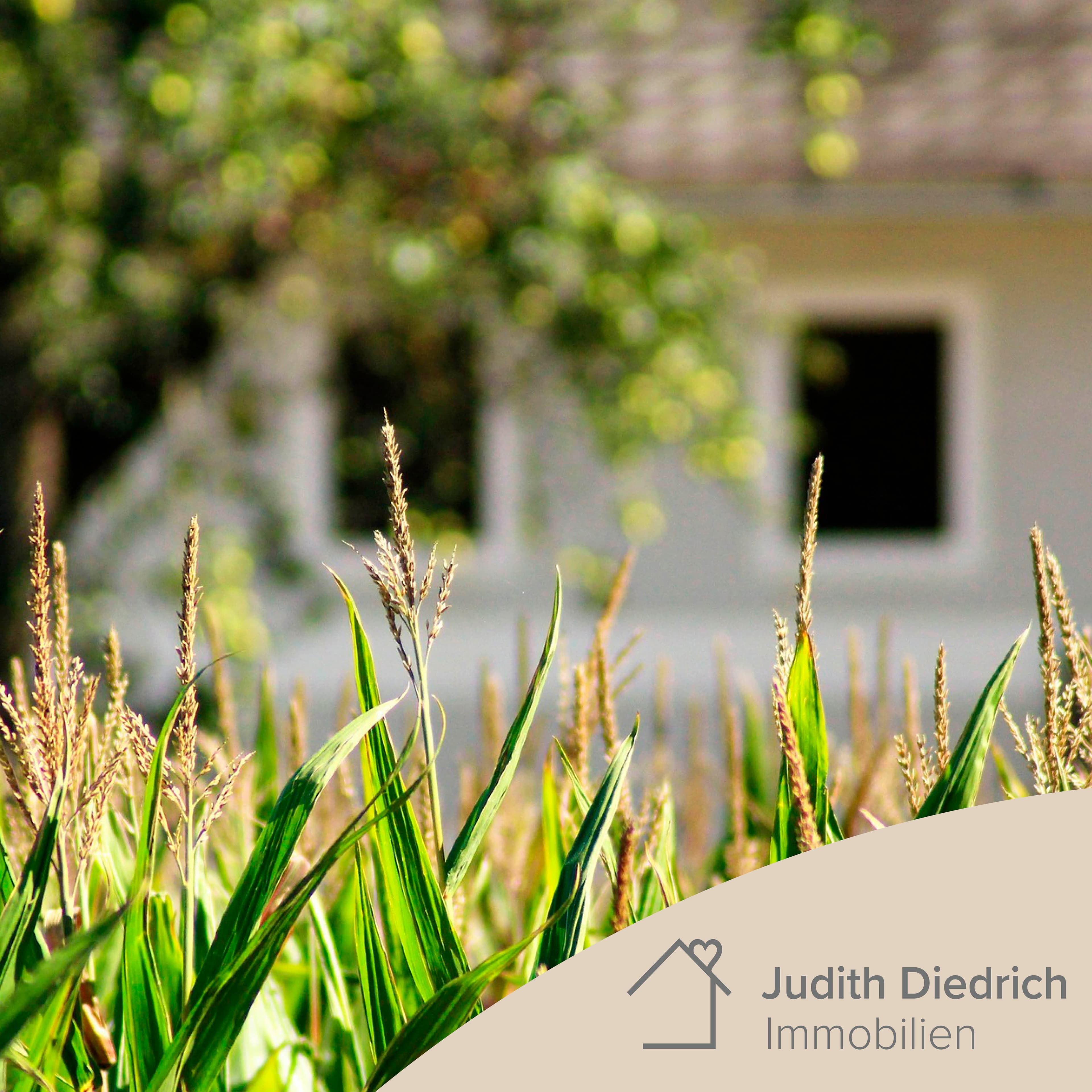 Hauptbild des Immobilienmaklers Judith Diedrich Immobilien