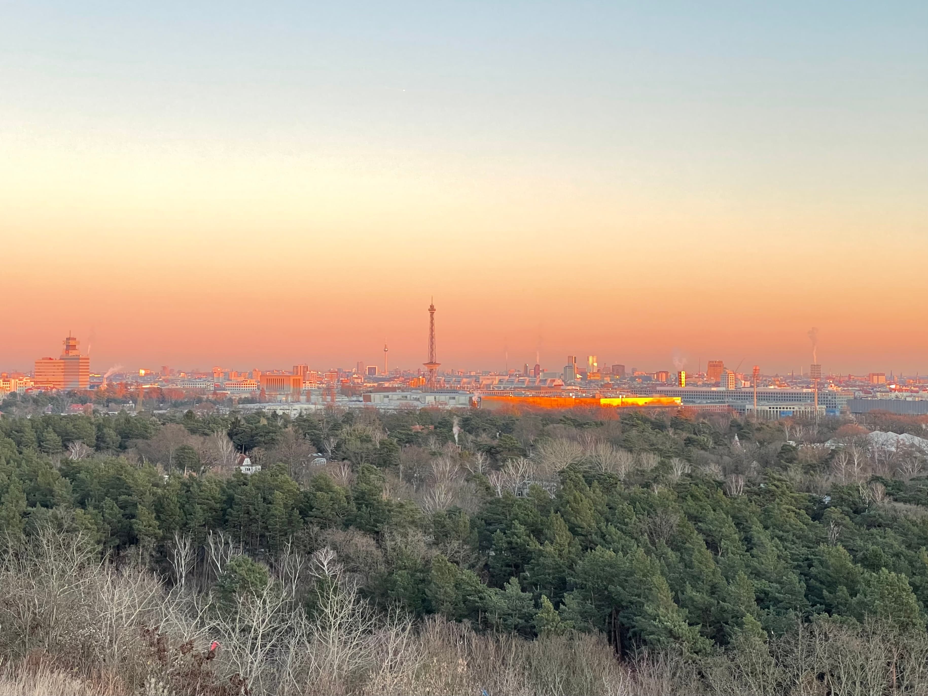 Hauptbild des Immobilienmaklers CKI-Berlin - Carsten Kühne Immobilienmanagement Berlin